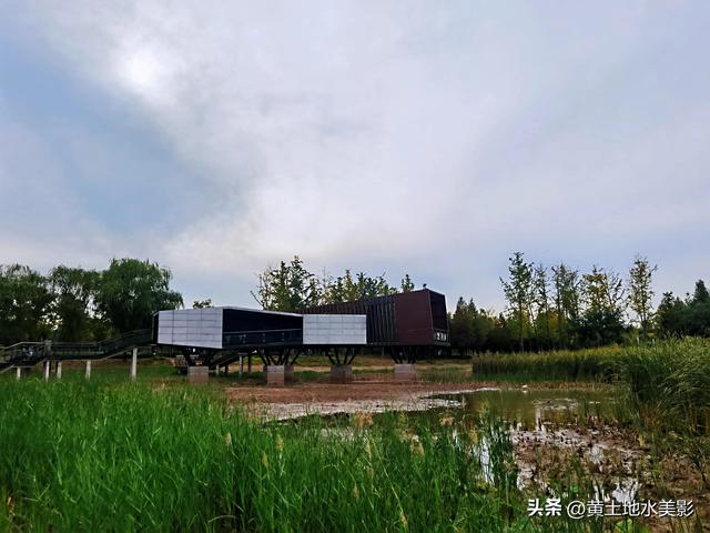 郑州龙湖湿地公园现状分析，河南郑州龙湖湿地公园秋色初露