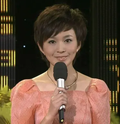 欧阳夏丹今何在?工作17年零失误,离开央视后现状如何