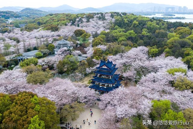 无锡旅游景点有哪些景点，去过4个就是无锡人