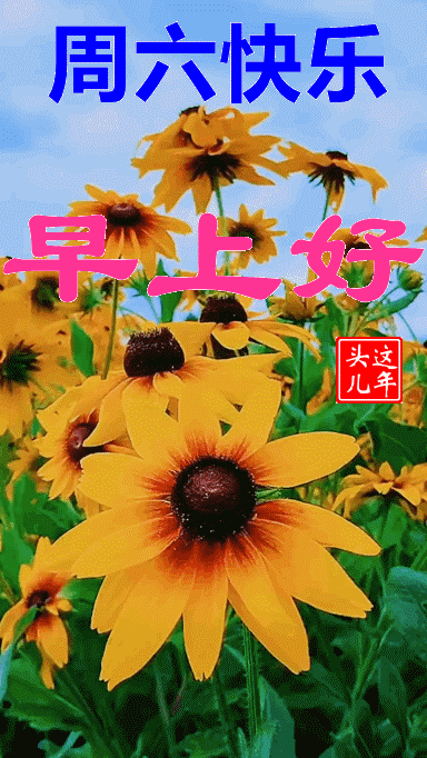 周末经典问候语短信，周末问候语短信大全（2022最新周末快乐动态图片带字）