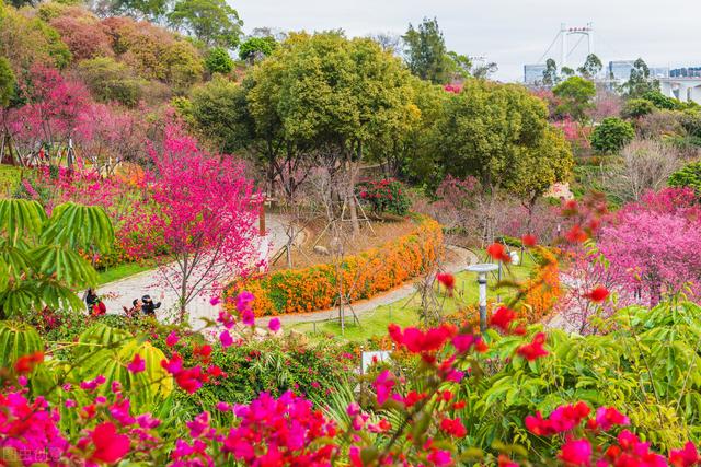 去厦门必去的几个地方，厦门必去的几个景点（这8个好玩又好拍的免费游玩圣地）