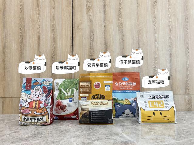 抱猫的四种方法，“抱猫”的4种错误方式