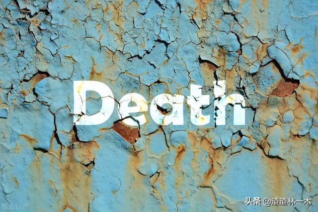 假死一般持续多久，兔子假死时间维持多久（美国殡仪馆男子睡着被推入火化炉）