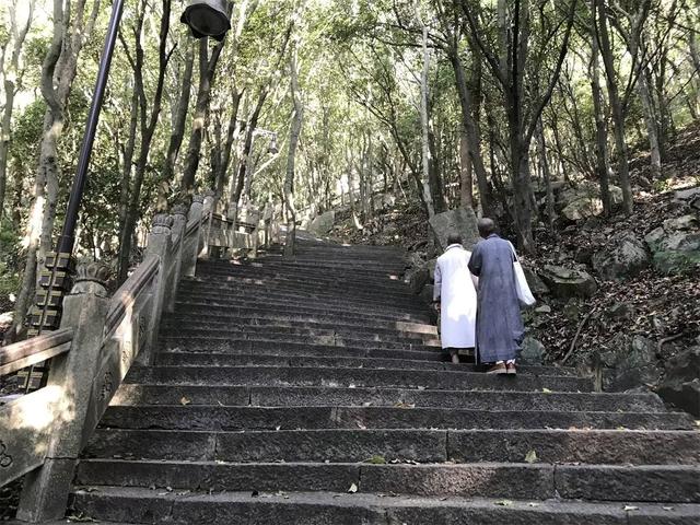 普陀山旅游攻略二日游，普陀山旅游攻略一日游最佳路线（浙江普陀山游玩路线和观音法界）