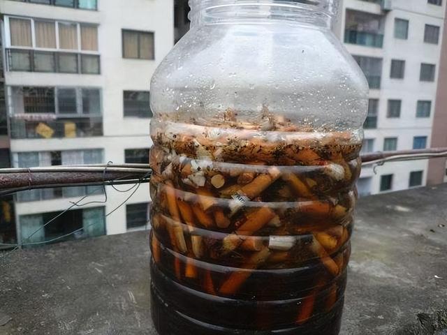 家里有小飞虫怎么消灭，家里有好多小飞虫怎么消灭的小妙招（5个“笨方法”）