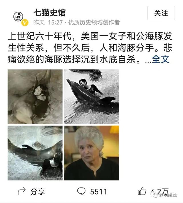 男子和海豚发生关系，南非一男子赏鲸差点被鲸鱼吞进嘴中（海豚殉情闭气自杀）