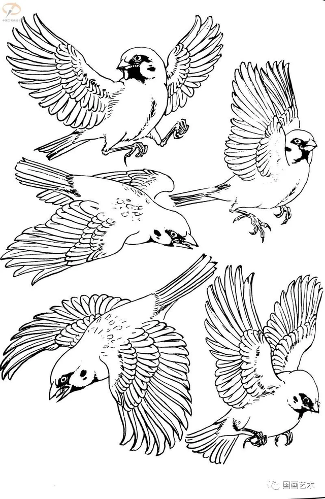 火的简笔画图片，火焰怎么画简笔画图片（画鸟参考——白描麻雀百图）