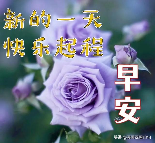 八个字珍惜友情的句子，珍惜友谊的句子八个字（6月8日感谢一成不变的友谊）