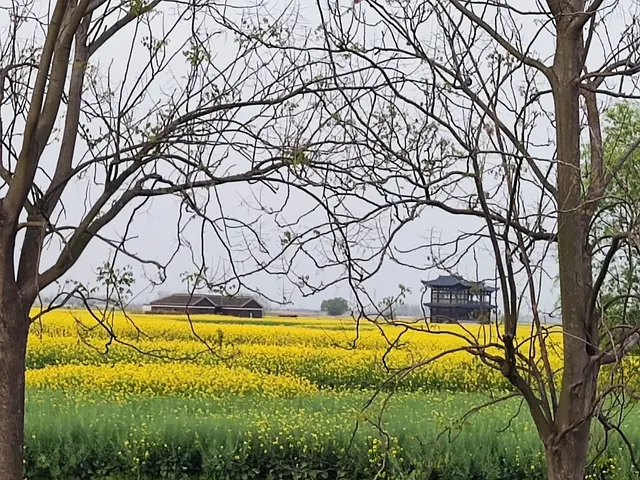 恻隐的意思是什么，论语里的怵惕恻隐是什么意思（赋予我们爱的能力——来自一堂语文课的深度思考）