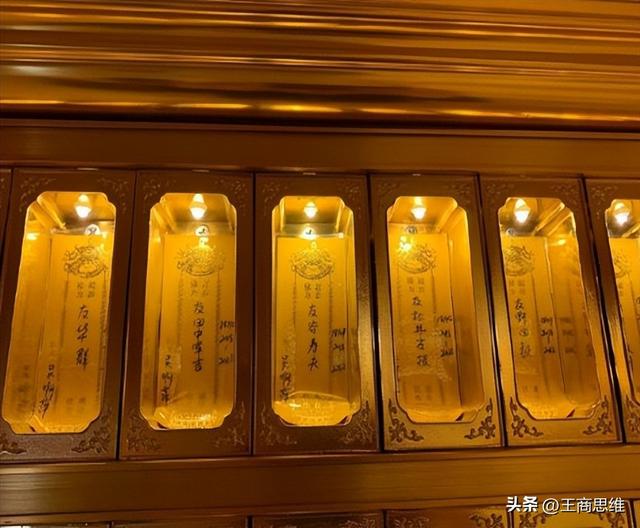 草履虫是什么梗，琪亚娜草履虫什么梗（“恨国女”和小猴子浮出水面）