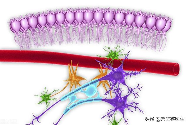 嗓子里卡了异物怎么办，嗓子里卡东西怎么办（总是感觉咽喉部有异物）