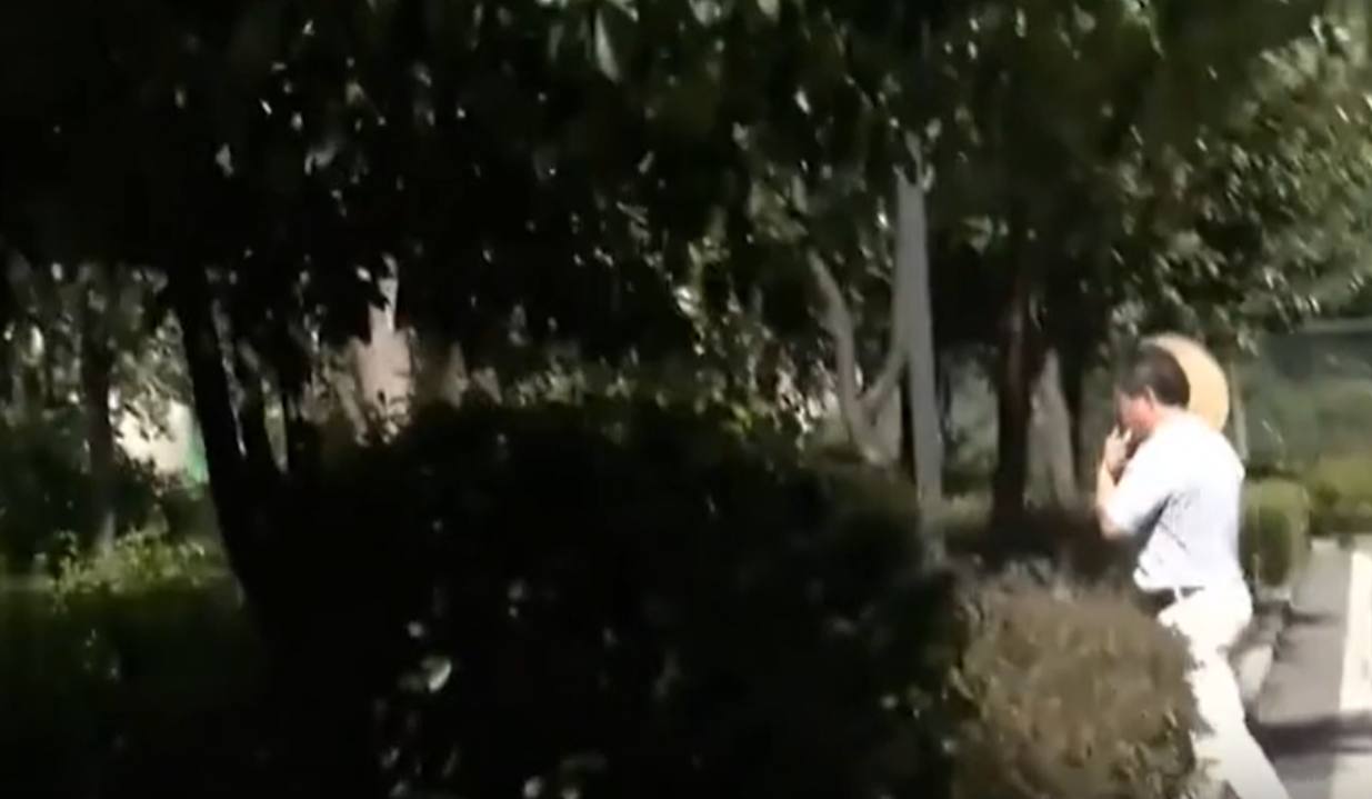 啃老族真实案例（湖南女版）