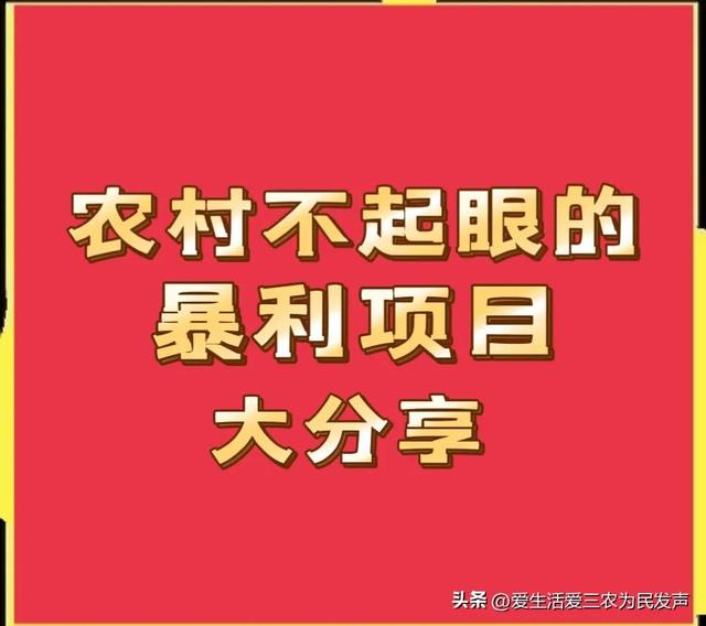 做什么项目投资少赚钱快，做什么生意投资少（但是很适合农村人做的“暴利”项目大分享）
