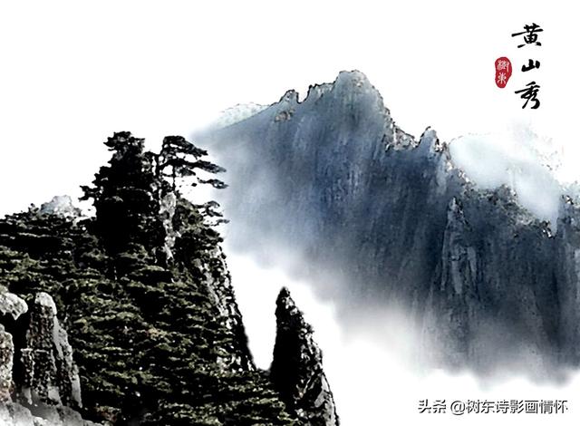 松树有什么象征与含义，松树象征的意义是什么（松在中华文化中象征着一种精神）