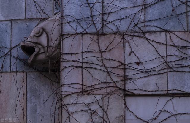 刻舟求剑的故事，画蛇添足的故事（睡前故事：刻舟求剑）