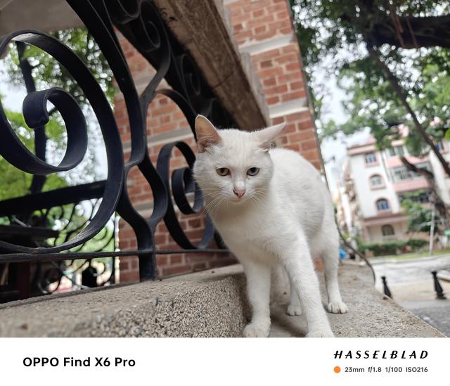 小米和vivo哪个好，小米和vivo手机优缺点对比（小米、OPPO、vivo三大拍照旗舰横评）