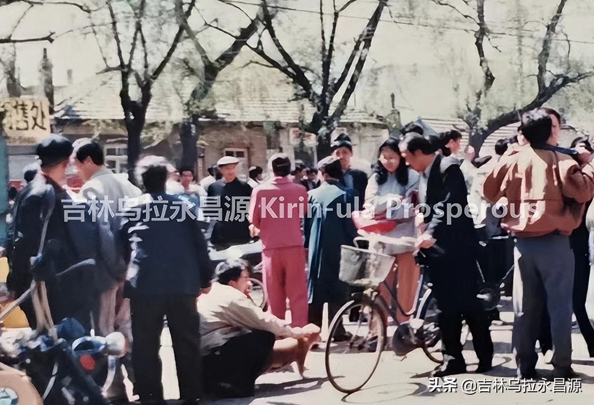 附近的宠物市场(宠物狗市场)