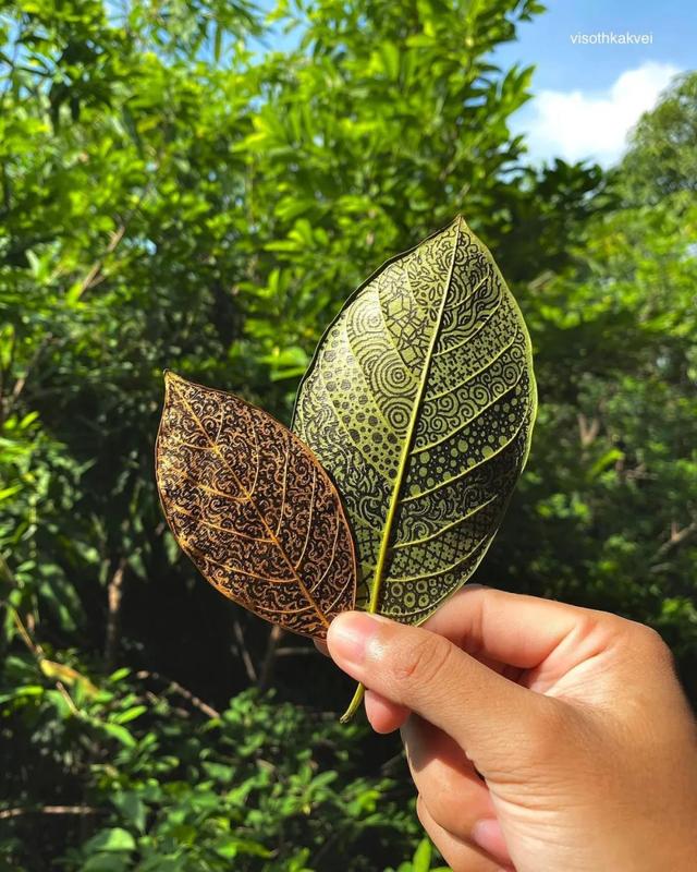 密集恐惧症最怕的图，密集恐惧症到底在害怕什么（看完这画把强迫症、密集恐惧症都给治好了）