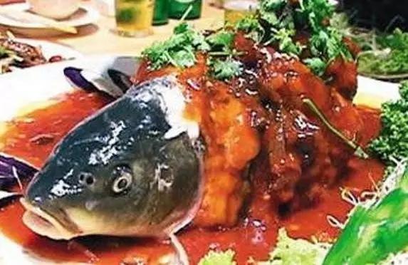 鱼的内脏解剖图，龙鱼内脏解剖图解（通体熟透、内脏掏空）