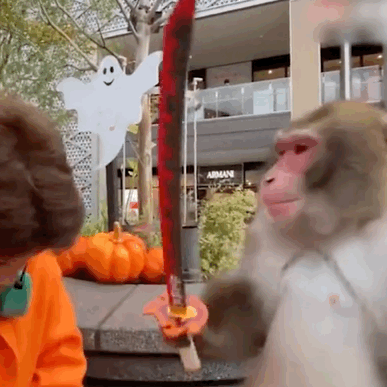 沉迷学习日渐消瘦，搞笑/头像/沉迷学习,日渐消瘦.微信（表情包/沉迷学习）