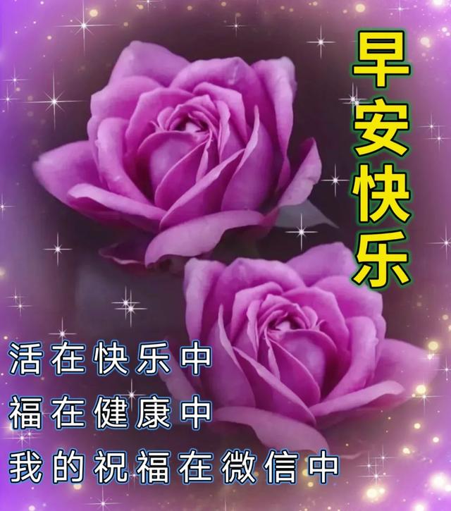 今日白露的问候，白露节气早安问候祝福语短信