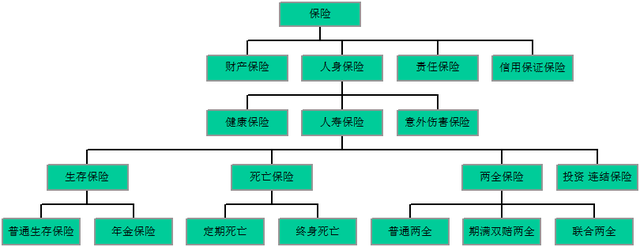 重置价值是什么意思，出险时的重置价值是什么意思（保险学知识点总结重点）