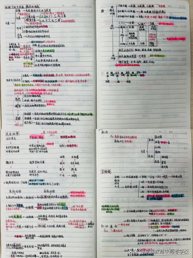 职高“高考班”学生笔记，职高高考班考本科（让学习更游刃有余）