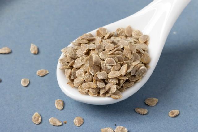 番茄仔功效与作用(西红柿种子如何进行浸种和消毒) - 行就行