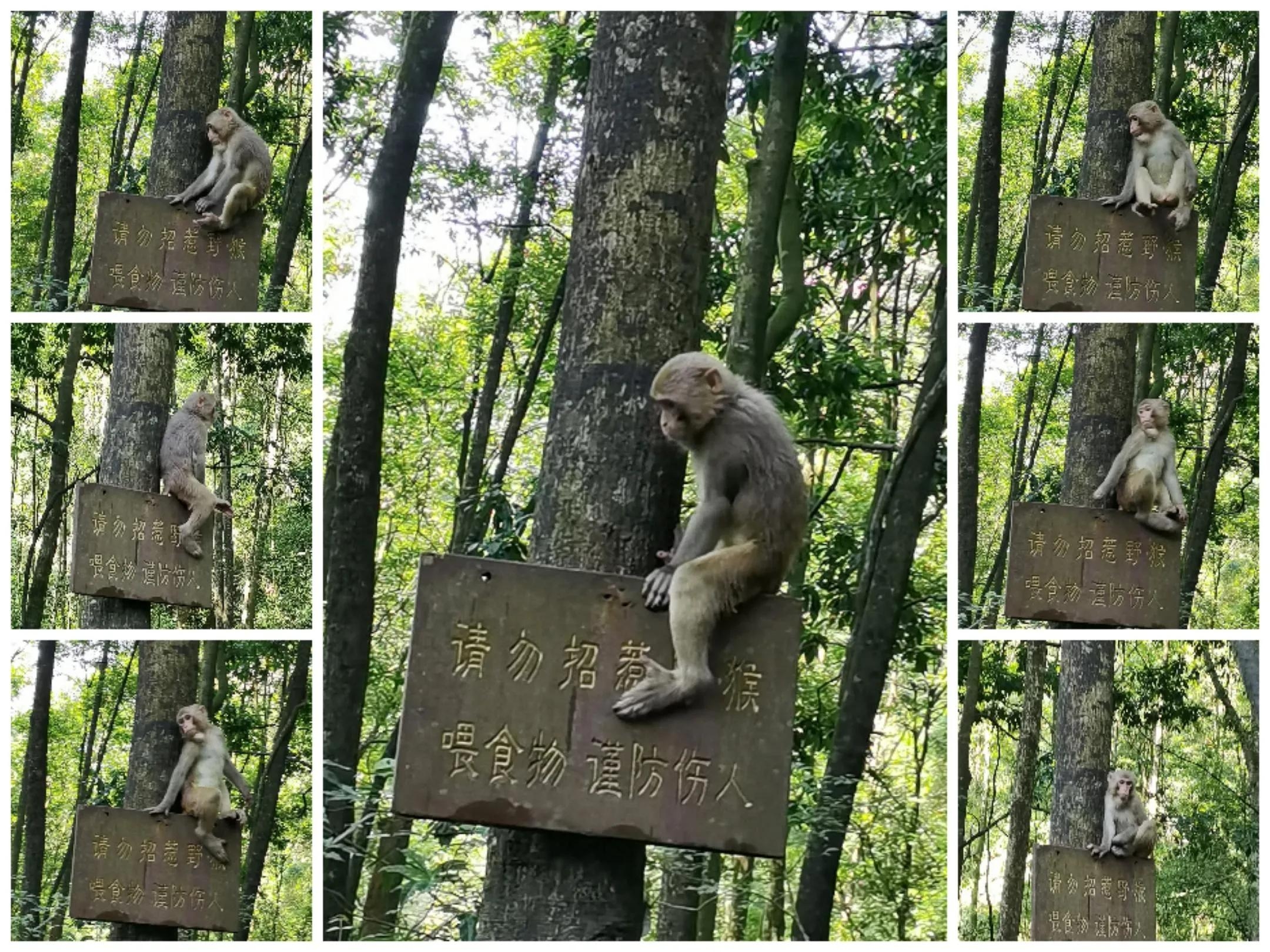 张家界地貌是什么类型（张家界世界地质公园的景观类型）