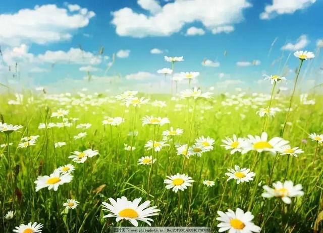 弹簧拉力器的锻炼方法你了解吗，弹簧拉力器的锻炼方法你了解吗视频（疫情之下如何突出重围安然无阳）