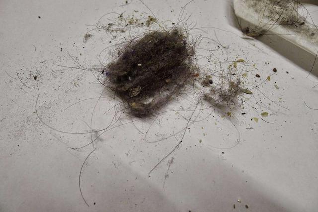 棉絮脏了怎么清洗，棉被尿骚味去除小窍门（为啥直到现在仍没有解决方法）