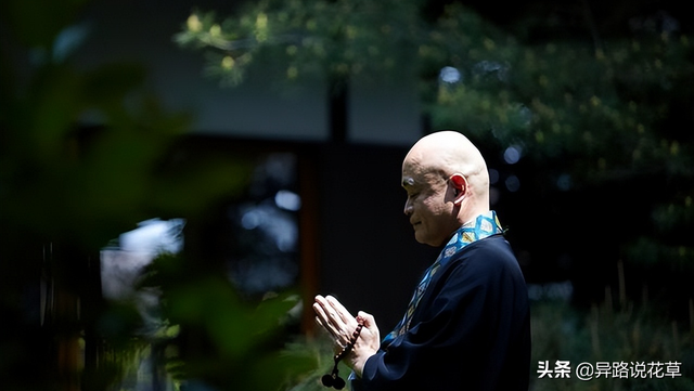 格桑花是什么花，格桑花有哪些特性（秋英、翠菊、金露梅到底是哪种花）