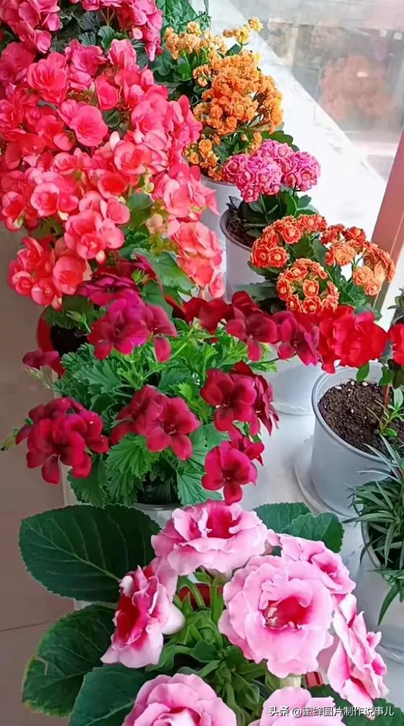 风景美图，风景美图壁纸（鲜花争艳，美景如画，过目不忘）