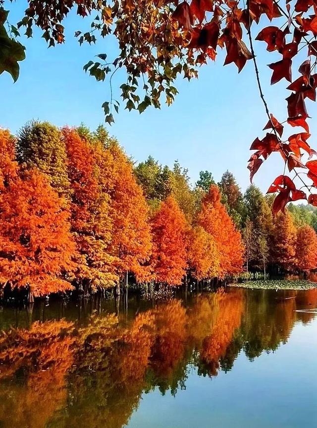 不如名师指路前面一句是什么，不如名师指路前面一句是什么成语（就是看透而不说透）