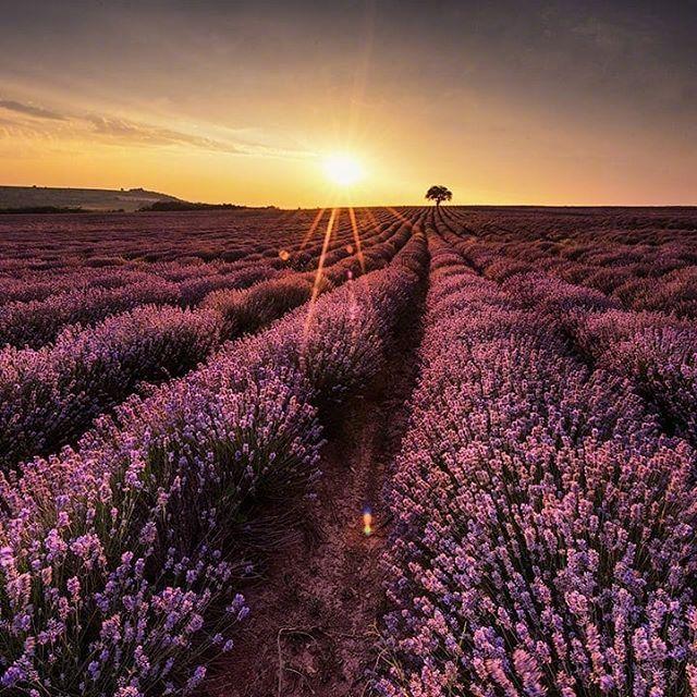 生活压力感悟经典句子，生活的压力经典句子（释放压力的人生哲理语录）