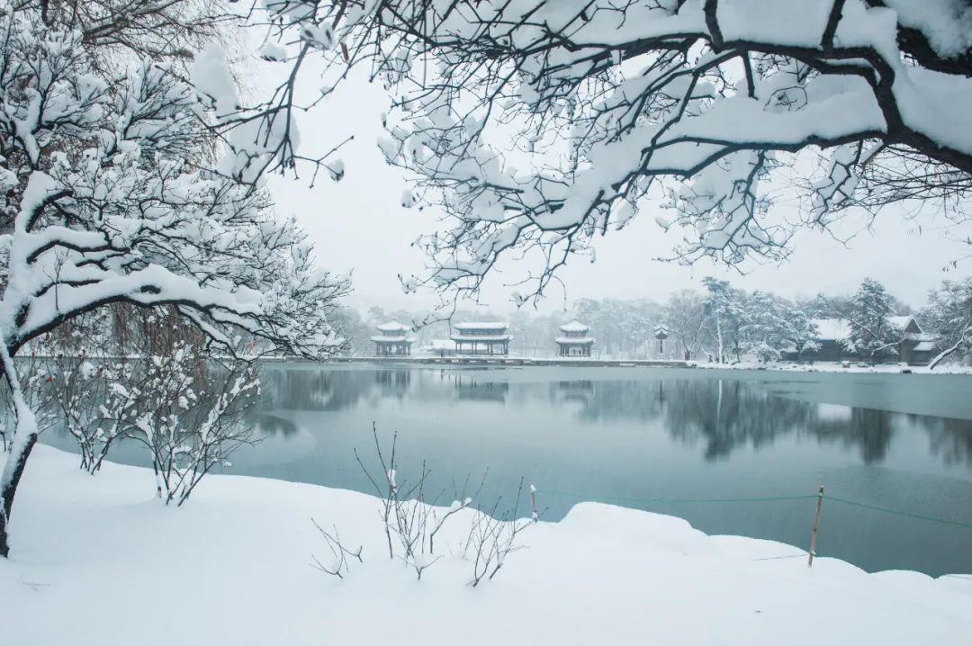 关于雪的诗句古诗名句，描写大雪的诗句古诗大全