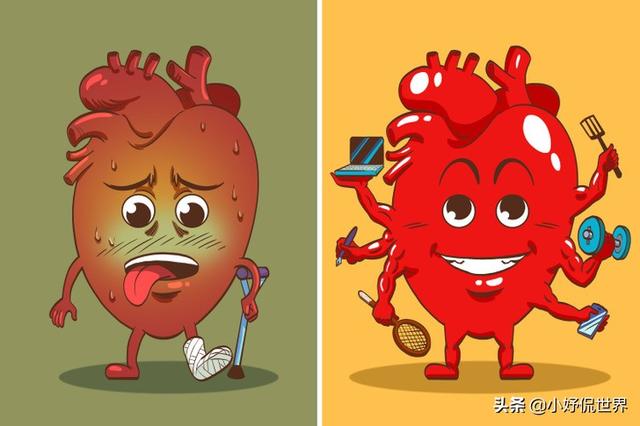 早上锻炼有哪些好处，早上锻炼的9个好处（早晨的锻炼时间可以给身体带来的7个帮助）