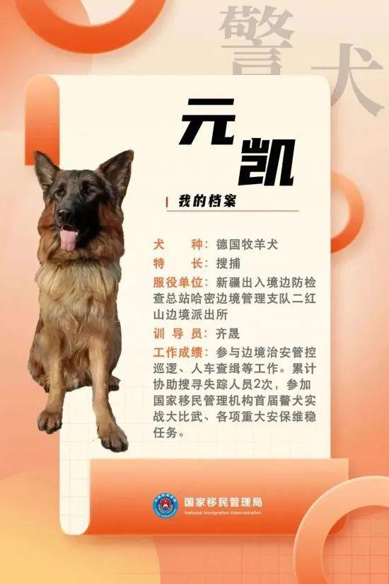 汪汪队立大功百科,汪汪队立大功人物介绍(国家首批功勋犬简历曝光) 汪汪队立大功百科,汪汪队立大功人物介绍(国家首批功勋犬简历曝光)