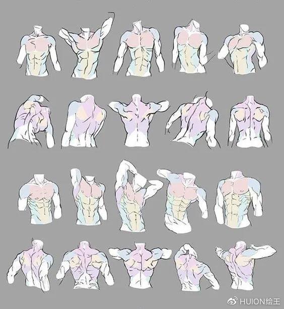 人体各部位的比例是多少，人体各部位的比例是多少（人体结构、动态怎么画）