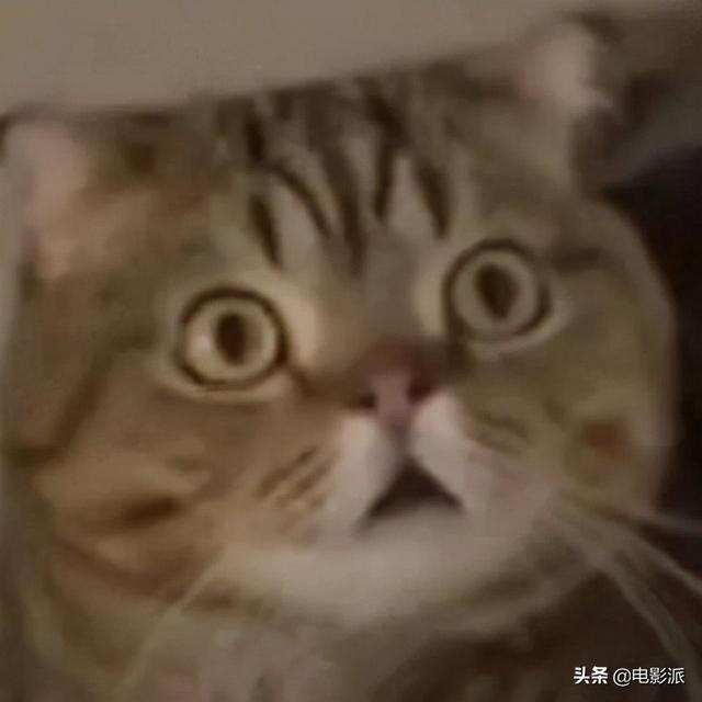 18x小说，现代18x小说推荐（看完这些烂剧，我真瞎了）