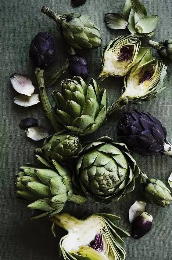 洋蓟的功效与作用，洋藓的功效与作用（洋蓟是什么东西）