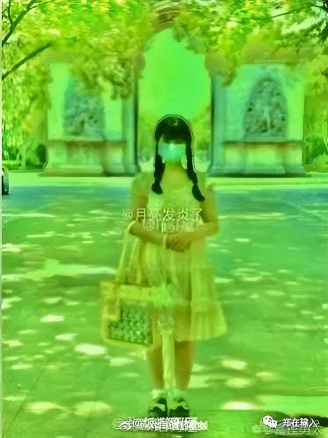 神奇海螺什么梗，神奇海螺是什么梗（我的城市消弭了包浆）