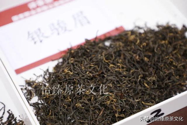 绿茶有哪些品种，红茶有哪些品种排名（一次性把中国茶树品种及特点讲清楚）