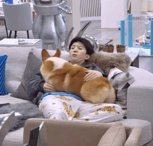 范丞丞为什么叫福西西，福西西是什么梗（范丞丞以后别叫福西西了）