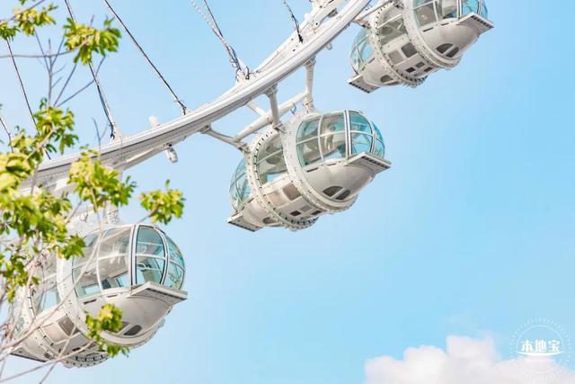 深圳红树林门票，深圳红树林公园游玩攻略（深圳情侣游玩地点推荐）