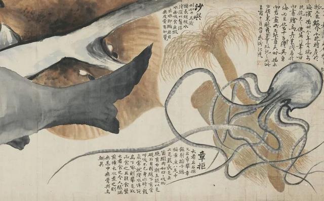 温州的海鲜，温州的海鲜都有啥（温州海鲜特产海蛤三千多年前就是贡品）