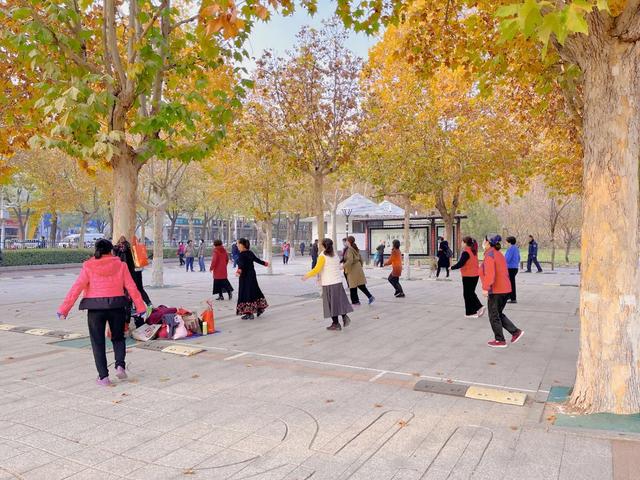 石家庄市水上公园，石家庄适合带孩子玩的地方（有种记忆，叫石家庄水上公园）