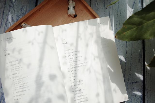 数学几何是什么意思，数学中的几何是什么意思（了解学习几何的方法）