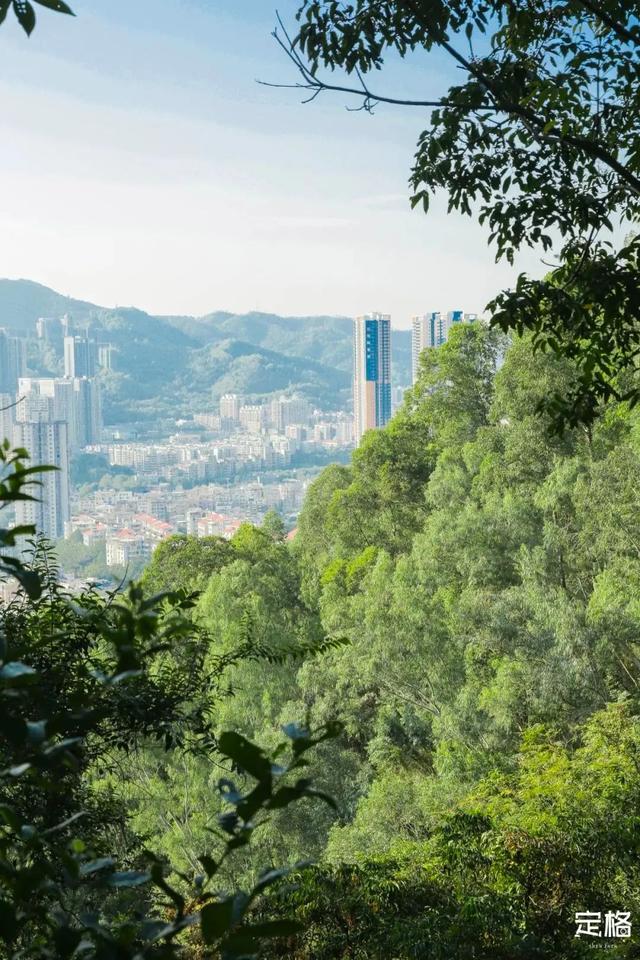 位於深圳灣和北東岸,而紅樹林自然是為保護紅樹林所建立的一種保護區