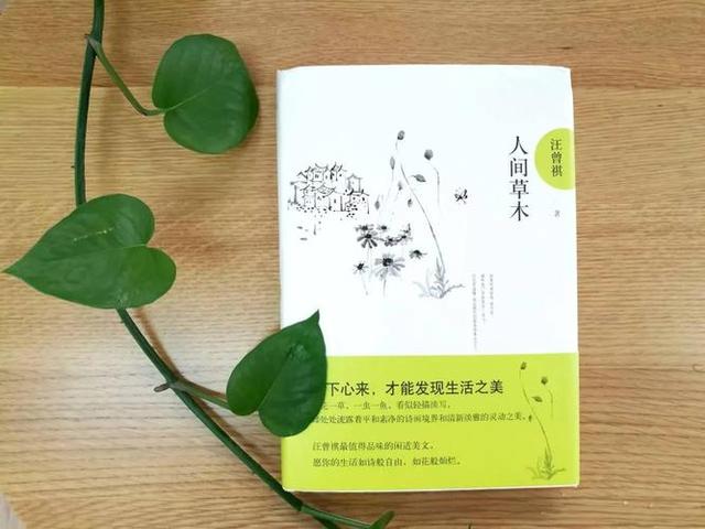 假如我是什么作文，假如我是什么作文500字（满分作文《你是我的光》）